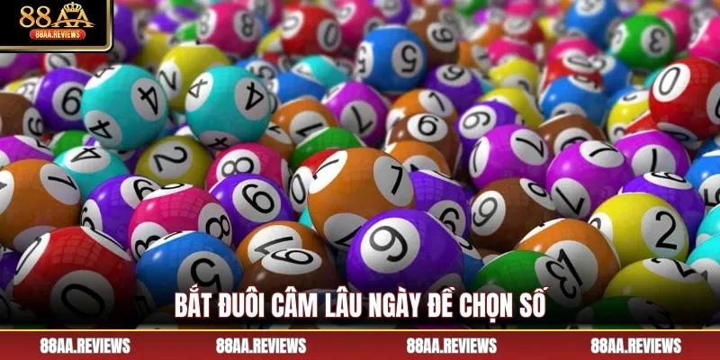 Bắt đuôi câm lâu ngày đề chọn số