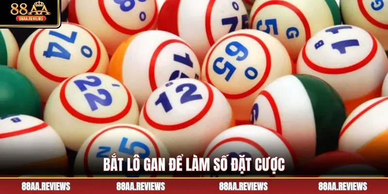 Bắt lô gan để làm số đặt cược