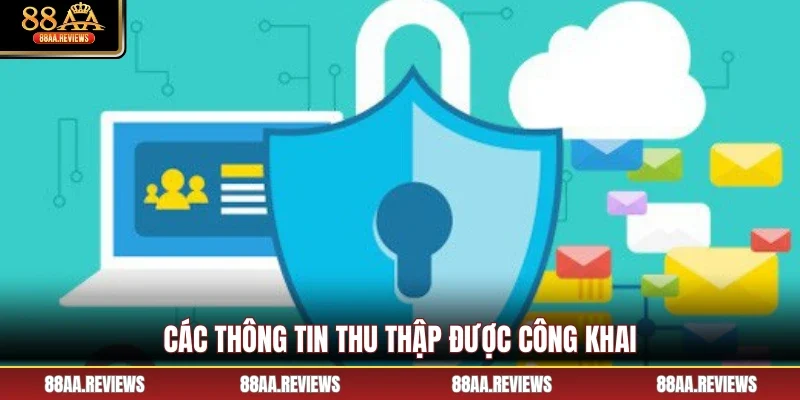 Các thông tin thu thập được công khai